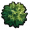 池塘苔藓.png