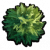 池塘苔藓.png