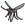 虎蚊填充标本.png