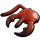火蚁口器.png