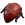 红蚂蚁部位.png