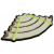 弧形茎干地板.png