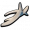 趾甲.png