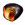 划蝽展板.png
