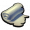 昆虫橡胶.png