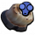 烤象鼻虫.png