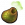 椿象气囊.png