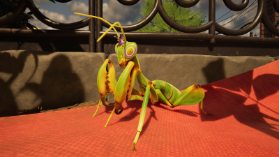 O.R.C. 螳螂.png