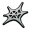 蛛网纤维.png