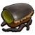 黑牛甲虫部位.png
