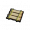 四分之一茎干地板.png