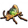 投弹甲虫填充标本.png