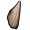 蜥蜴角.png