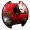 瓢虫盾.png