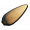 草籽.png