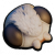 蛾子绒毛.png