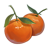 柑橘.png