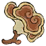灵芝.png