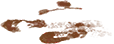 可疑脚印.png