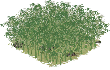 竹林.png