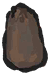 西瓜籽.png