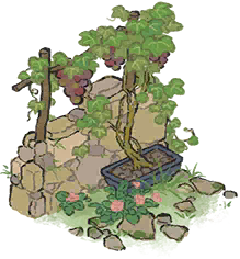 墙角葡萄.png