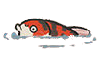 锦鲤.png