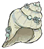 海螺.png
