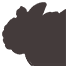 召唤貔貅.png