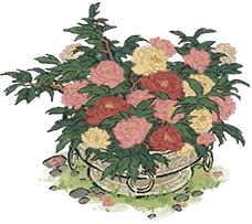 牡丹花器.png