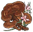 赤色灵芝.png