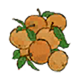 柑橘.png