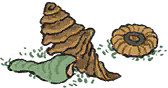 听浪石.png