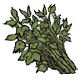 芫荽.png