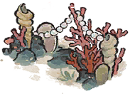 珊瑚珠栏.png