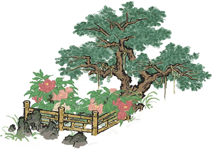 黄牡丹花径.png