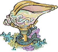 留声海螺.png