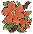 石榴花枝.png
