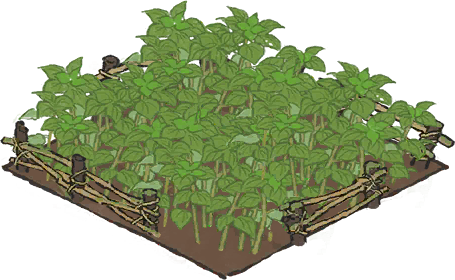 苎麻田.png