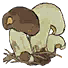 菌子.png