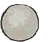 珍珠.png