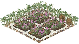 草药田.png