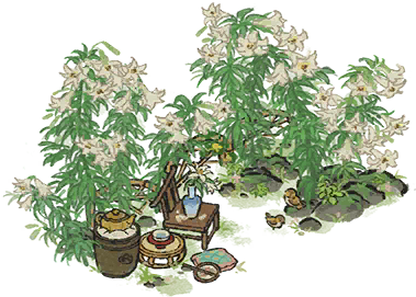 百合花圃.png