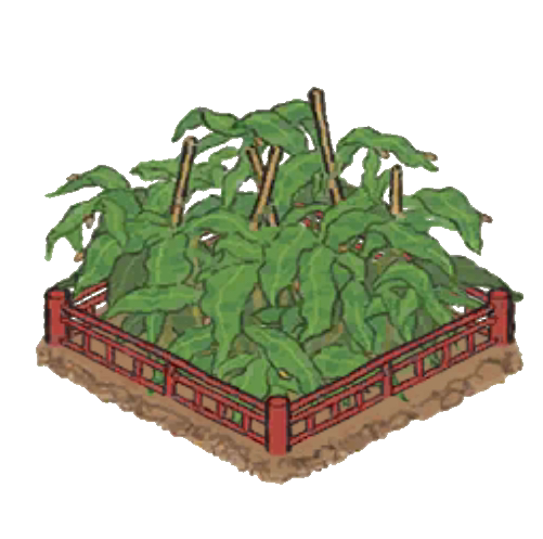 昙花.png