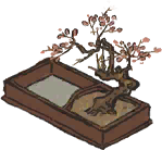 腊梅小景.png