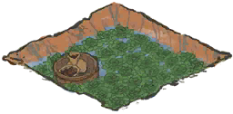 菱角池塘一级.png