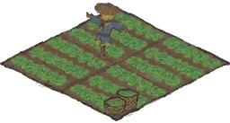 农田.png
