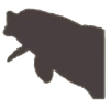 召唤锦鲤.png