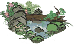 溪涧独木.png