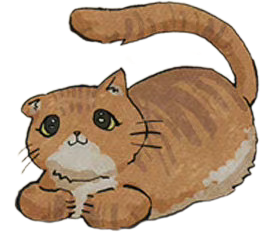 憨憨小黄猫.png